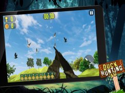 CHASSE DE CANARD screenshot 7