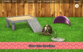 Tortoise to grow relaxedly screenshot 7