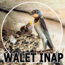 Suara Pemanggil Walet & Inap Icon