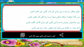 Saraiki Poetry screenshot 7