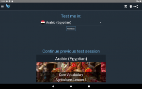 Egyptian Arabic Language Tests screenshot 1