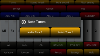 Arabic Instrument screenshot 2