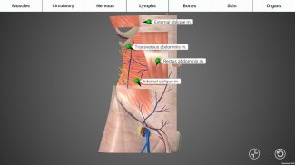 Surgery Basics screenshot 2