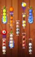 Color Ball Sort Wooden Puzzle screenshot 19