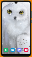 Owl HD Wallpaper screenshot 5