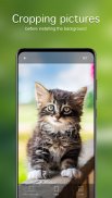 Cat Wallpapers & Cute Kittens screenshot 1