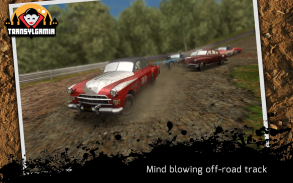 3D كلاسيك رالي السيارات screenshot 2