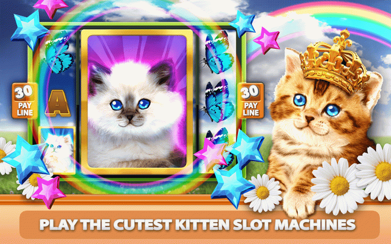 Kitty Cat Slot Machine