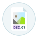 DSC Auto Rename Icon