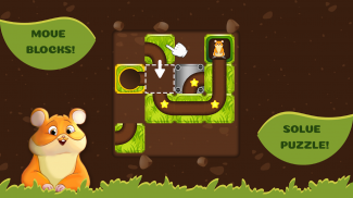 Unblock Hammy the Hamster - Puzzle Game screenshot 5