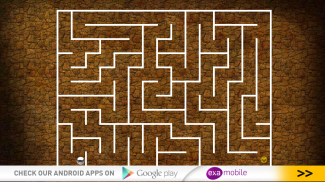 Maze screenshot 11