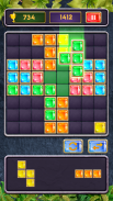 Block Jewel: Brick Puzzle Game screenshot 2