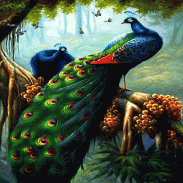Peacock Butterfly Live Wallpaper screenshot 3