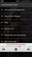 Lagu Dangdut Koplo Offline screenshot 3