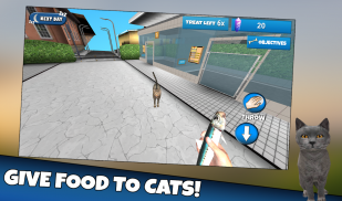 Cat Shelter Simulator 3D screenshot 0