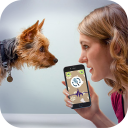 Dog Language Translator Simulator - Talk to Pet Icon