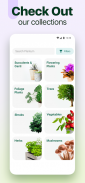 Plantum - 植物识别，叶子、花卉和树木护理 screenshot 3