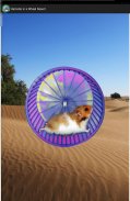 Hamster no deserto screenshot 3