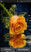 Yellow Rose Reflection LWP screenshot 0