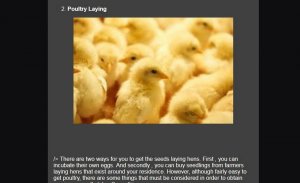 cultivation of laying hens screenshot 1