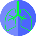 pneumonology Icon