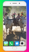 Bullock Cart Wallpaper Full HD screenshot 7