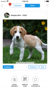 DogDays | Puppies & Dogs Calendar Manager & Games screenshot 9