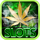 Lucky Weed - Freie Steckplätze Icon