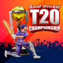 Free Hit Cricket - Free cricket game