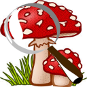 Mushroom Tracker