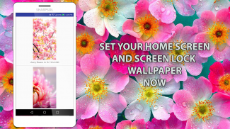 Flower live Wallpaper screenshot 7