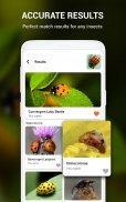 Insect identifier by Photo Cam screenshot 19