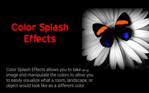 Color Splash Effects screenshot 4