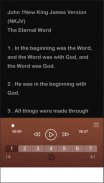 NKJV Audio Bible - New King James Audio Bible Free screenshot 3