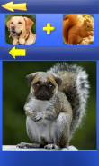 Mix Aminals. Animal morphing screenshot 1