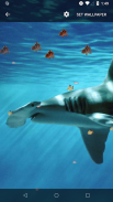 3D Shark Live Wallpaper screenshot 1