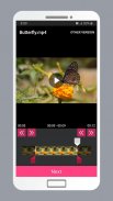 Smart Video Crop - Crop any part of any video screenshot 2