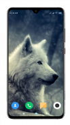 Wolf Wallpaper 4K screenshot 4