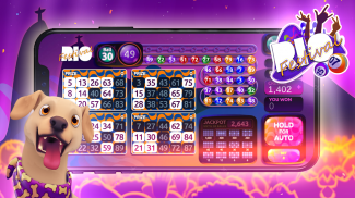 Bingo Rex screenshot 6