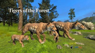 Tigers of the Forest screenshot 0