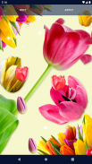 Tulips Spring Live Wallpaper screenshot 0