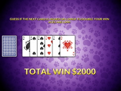 Casino Cash Cats Kitty Slots screenshot 5