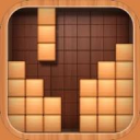 Block Puzzle icon