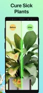 PictureThis - 꽃 & 식물 찾기 screenshot 6