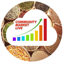 Commodity Market Live Icon