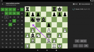 Problemas de ajedrez (puzzles) screenshot 14