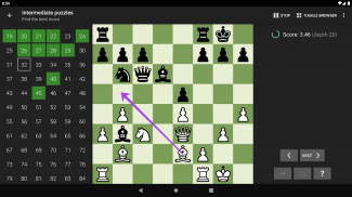 Chess Tactics Pro APK for Android Download