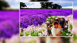 Beautiful Nature Photo Frames screenshot 7