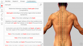 Visual Acupuncture 3D screenshot 7