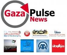 Gaza Pulse News screenshot 0